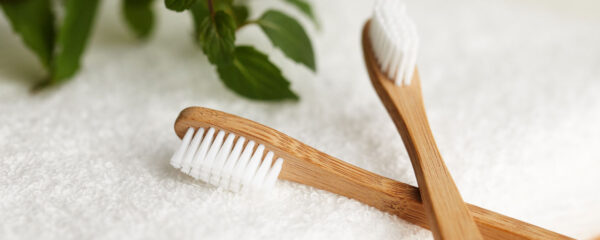 brosse à dents en bambou